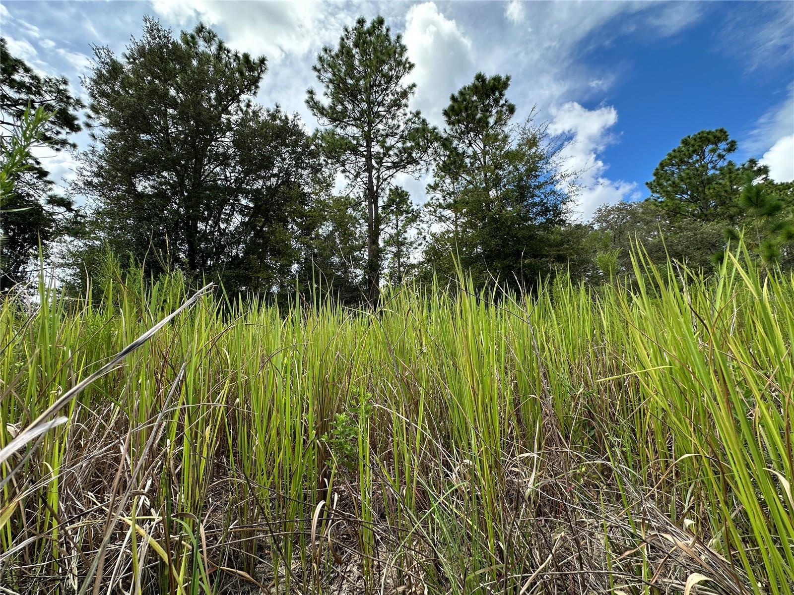 Image 5 of 7 For Tbd 130th Court