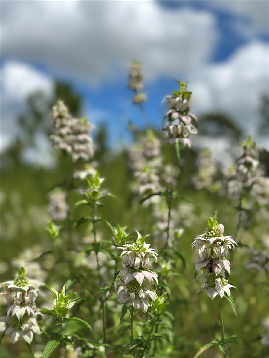 Image 7 of 7 For Tbd 130th Court