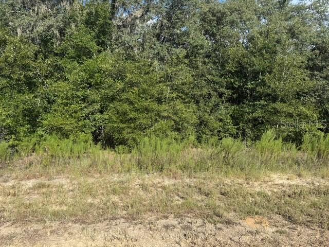 Image 7 of 9 For Lot 18 146th Avenue