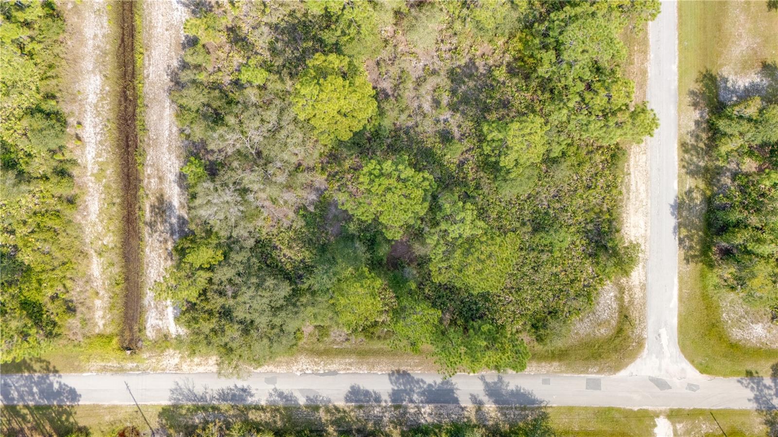 Image 5 of 8 For 524 Magnolia Drive