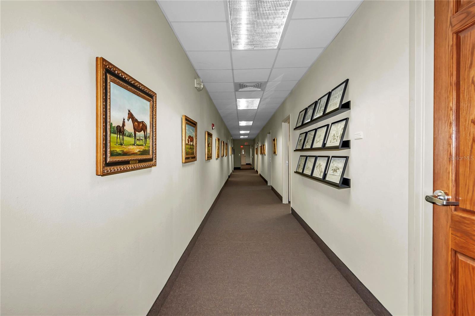 Image 37 of 56 For 801 60th Avenue