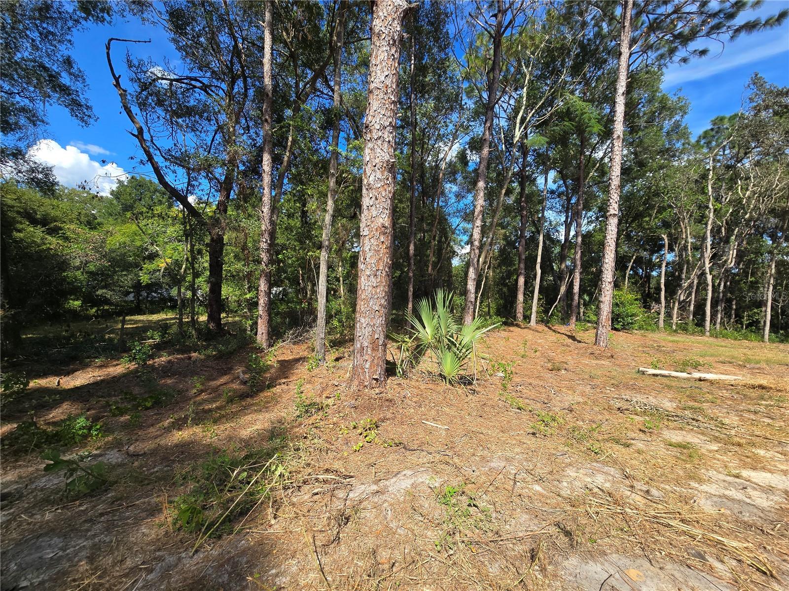 Image 10 of 22 For 4286 Carl G Rose Highway