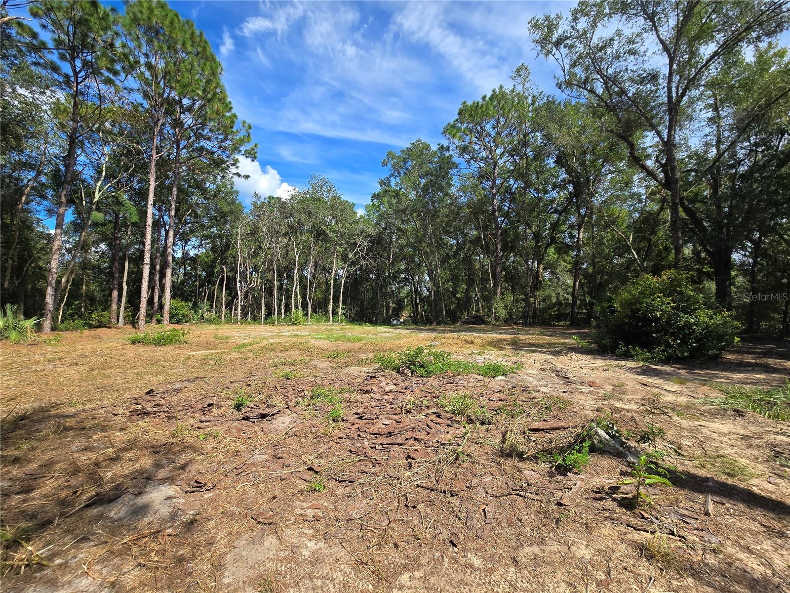Image 14 of 22 For 4286 Carl G Rose Highway