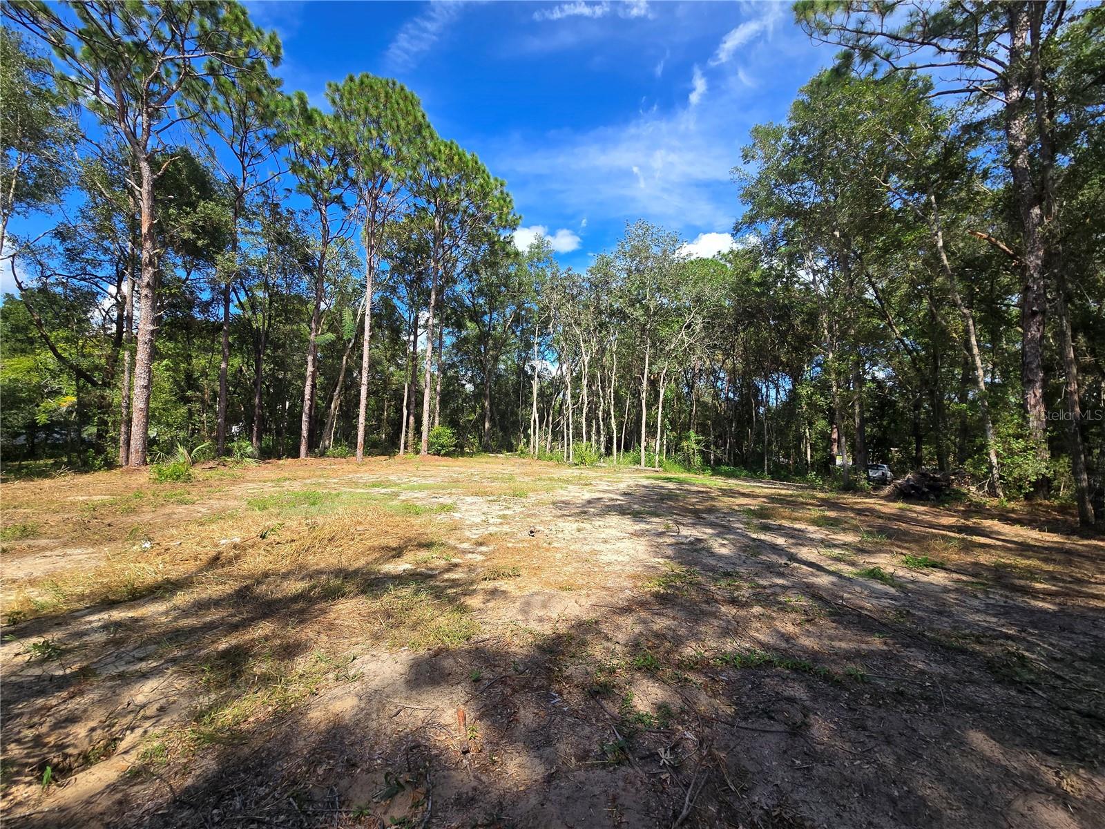 Image 15 of 22 For 4286 Carl G Rose Highway
