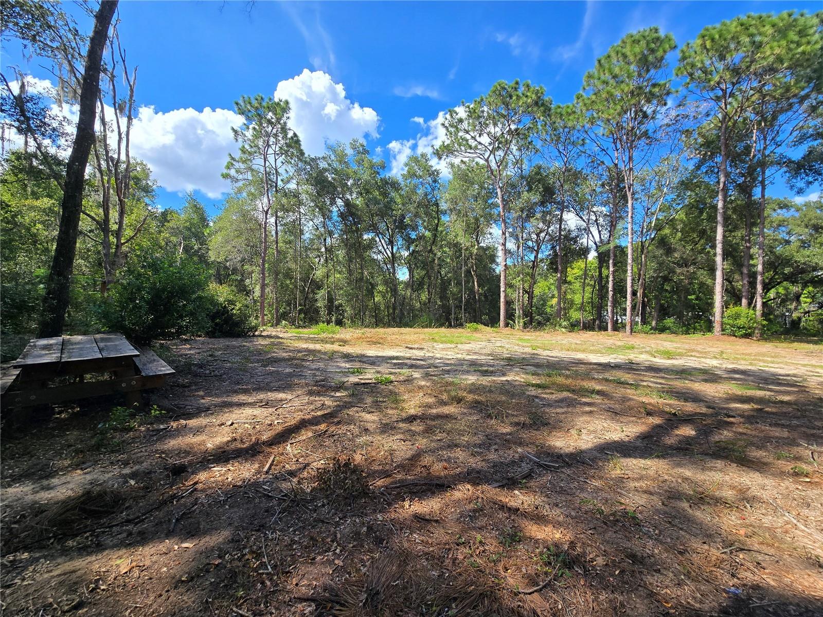 Image 16 of 22 For 4286 Carl G Rose Highway