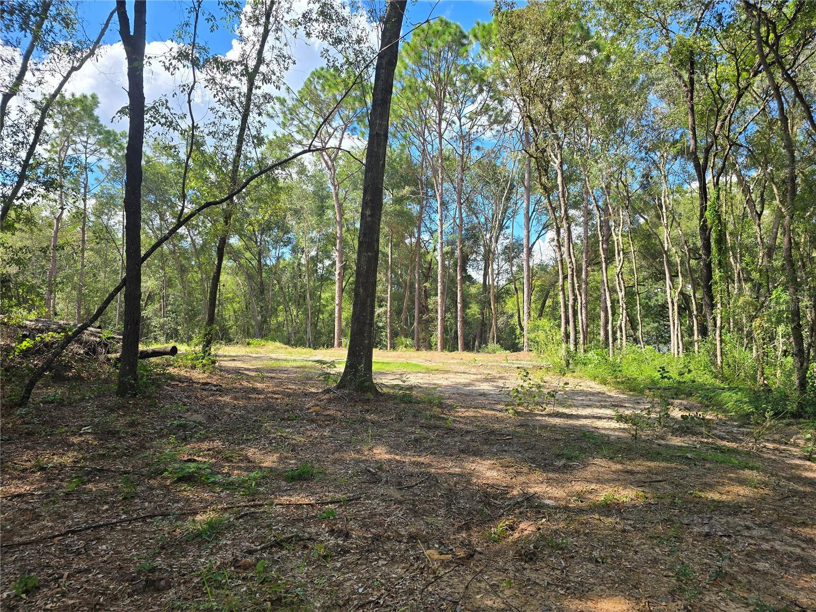 Image 18 of 22 For 4286 Carl G Rose Highway