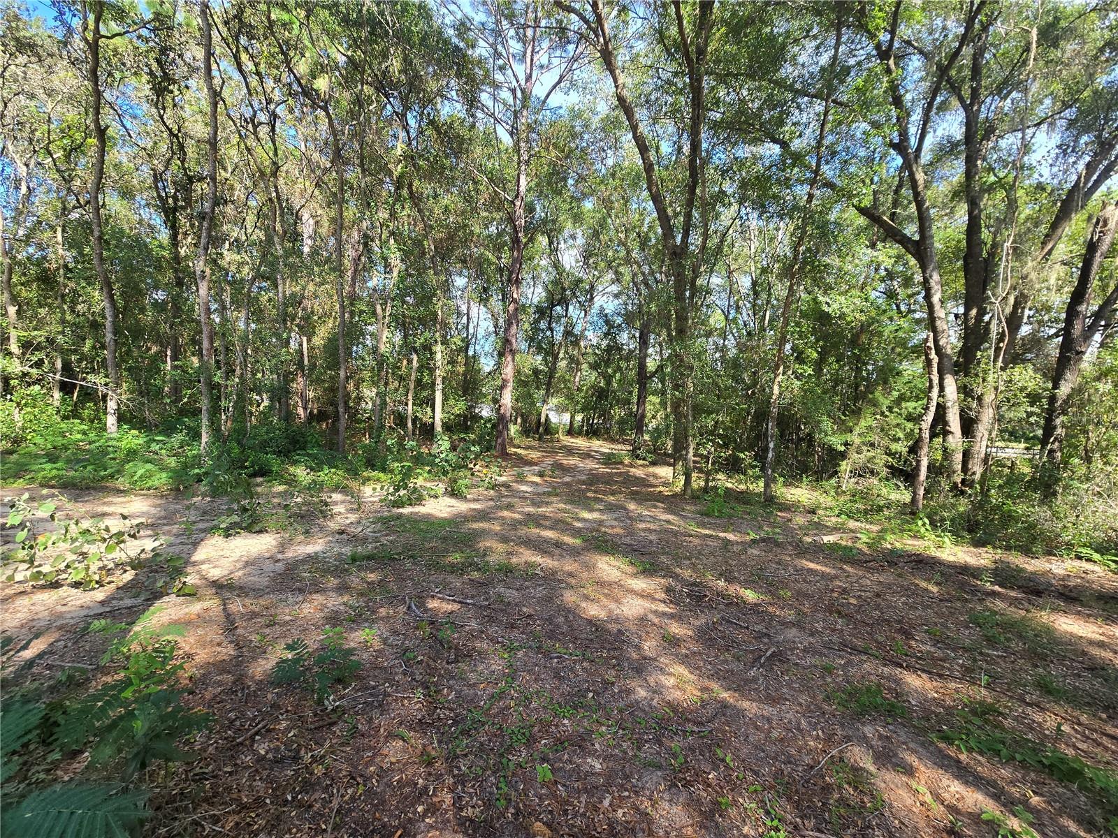 Image 21 of 22 For 4286 Carl G Rose Highway