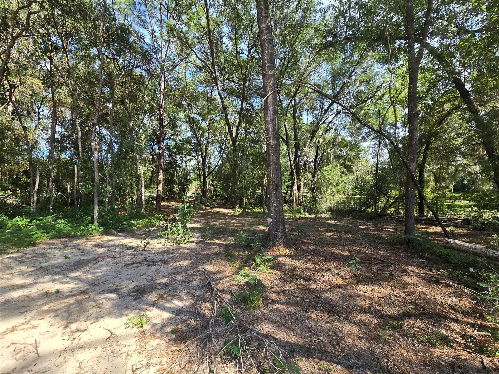 Image 22 of 22 For 4286 Carl G Rose Highway