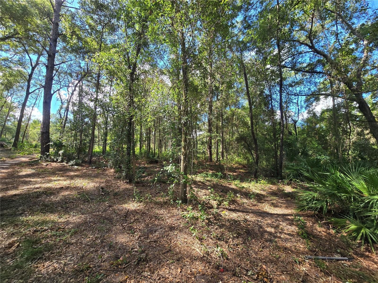 Image 6 of 22 For 4286 Carl G Rose Highway