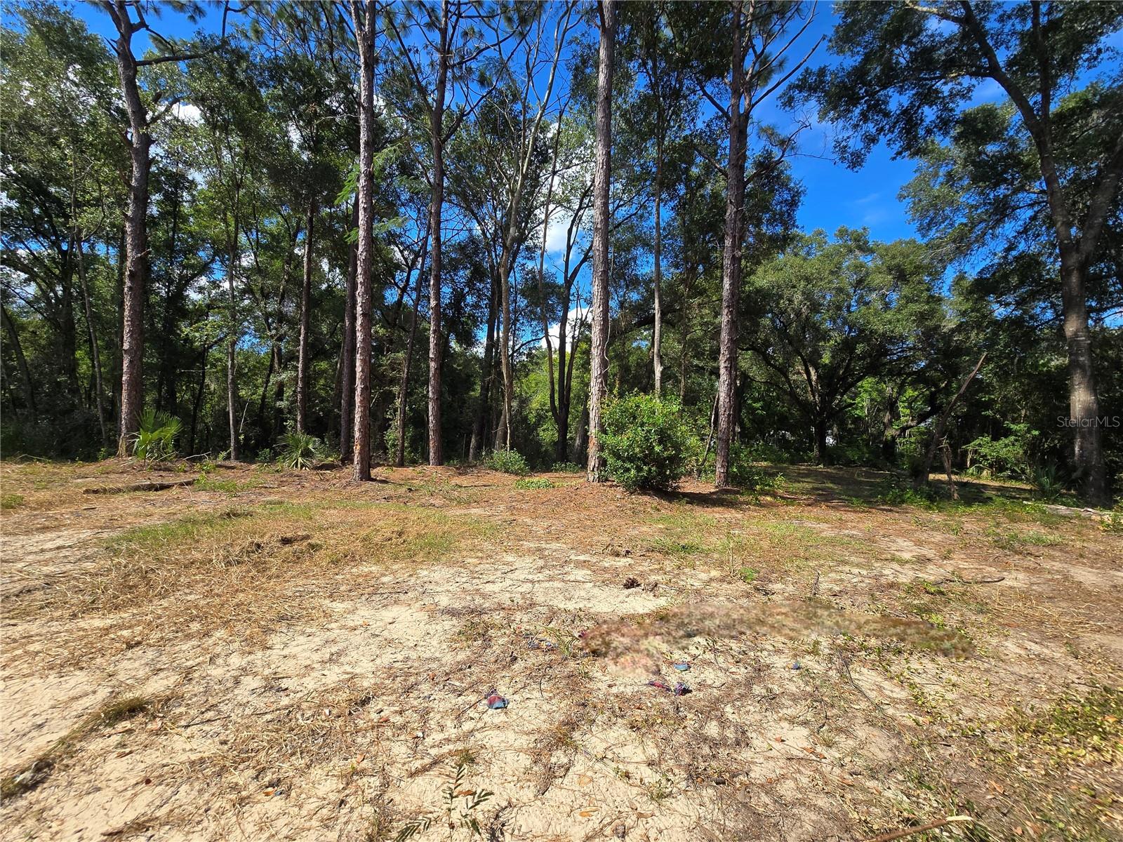 Image 7 of 22 For 4286 Carl G Rose Highway