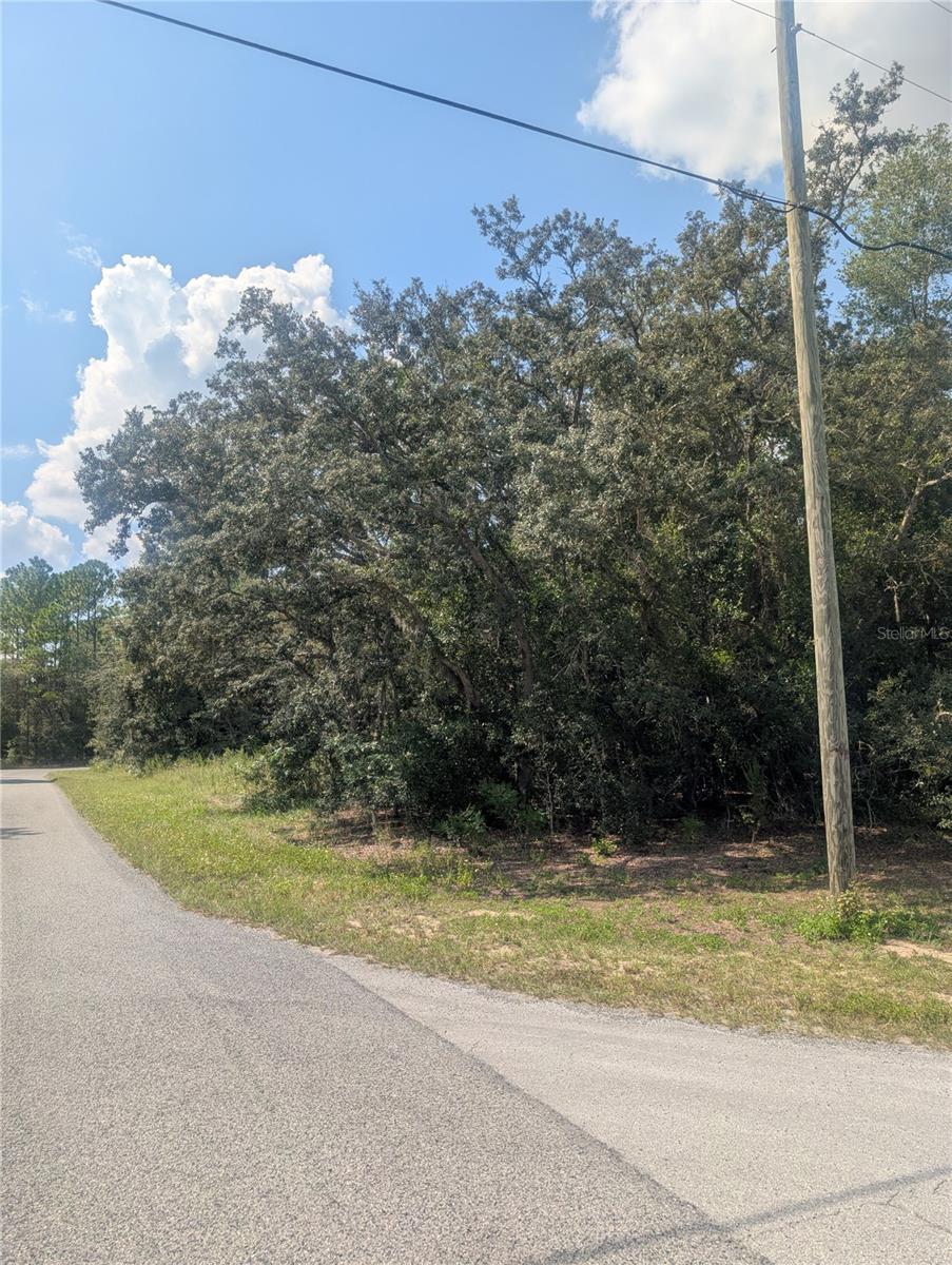 Listing photo id 8 for 8010 Primrose Drive