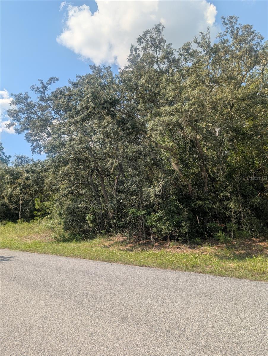 Listing photo id 10 for 8010 Primrose Drive