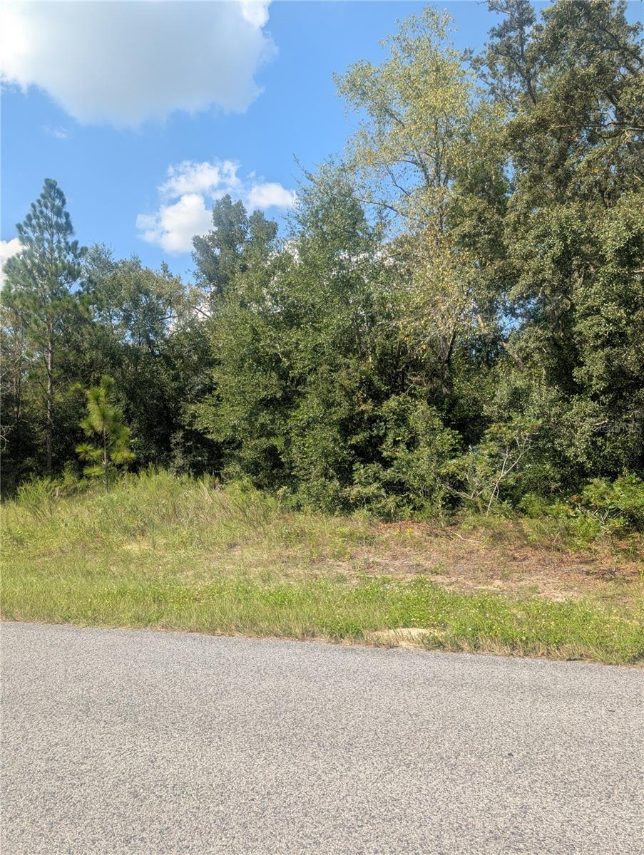 Listing photo id 12 for 8010 Primrose Drive