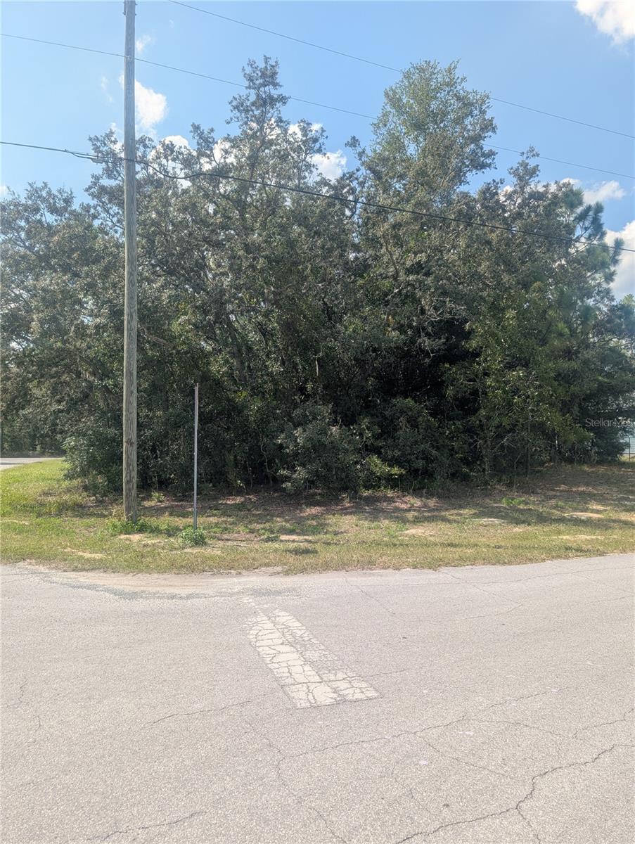 Listing photo id 4 for 8010 Primrose Drive