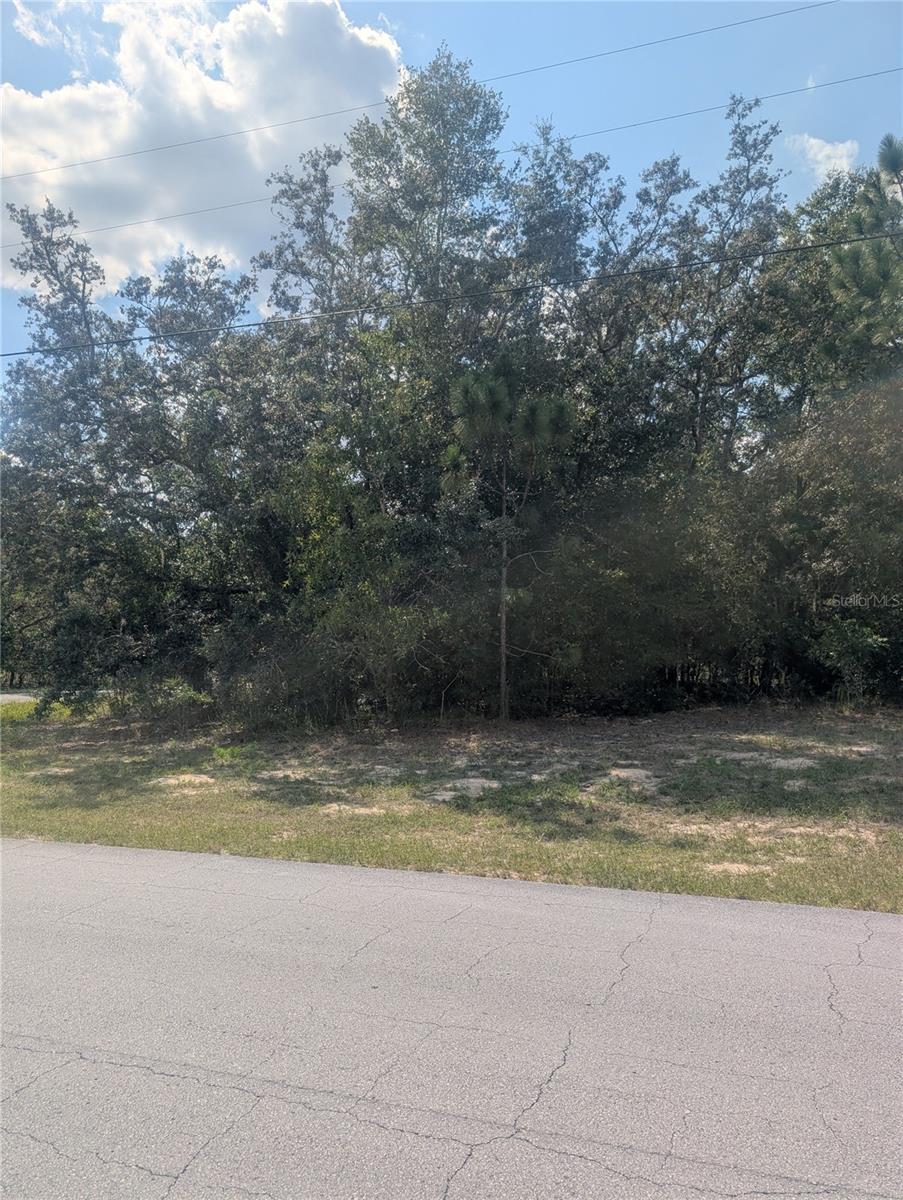 Listing photo id 5 for 8010 Primrose Drive