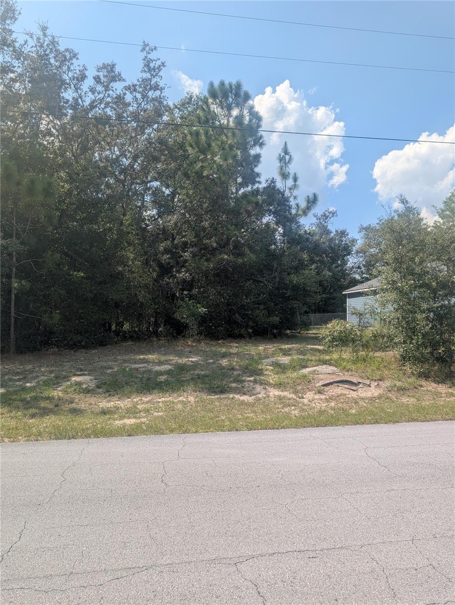 Listing photo id 6 for 8010 Primrose Drive