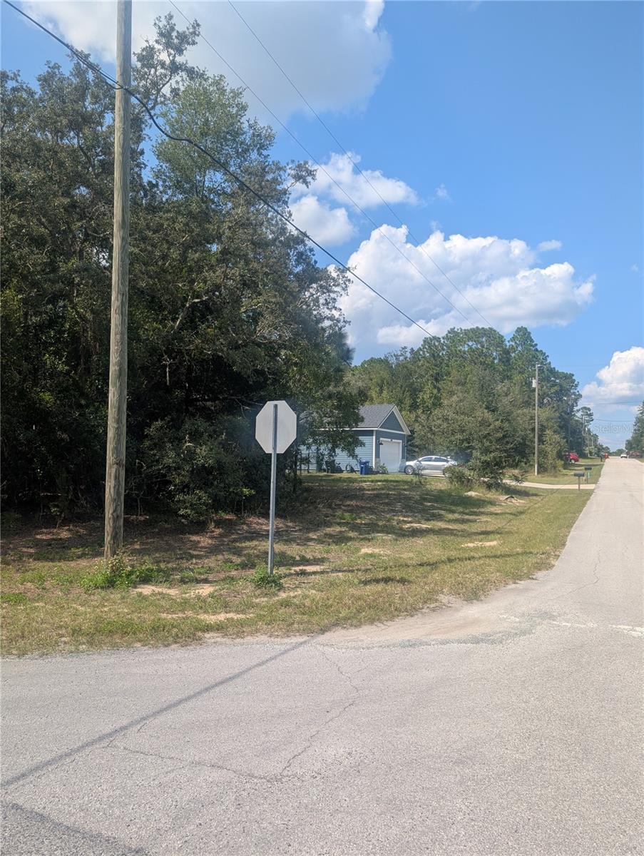 Listing photo id 7 for 8010 Primrose Drive