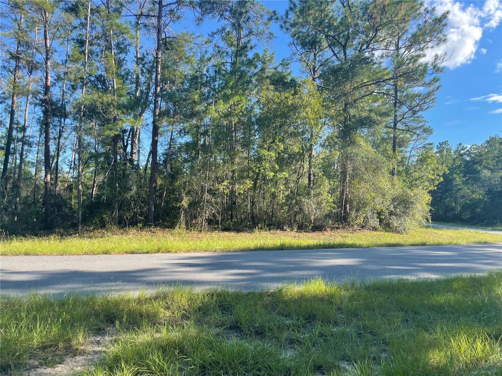 Listing Details for Sw 35 Terrace, OCALA, FL 34476