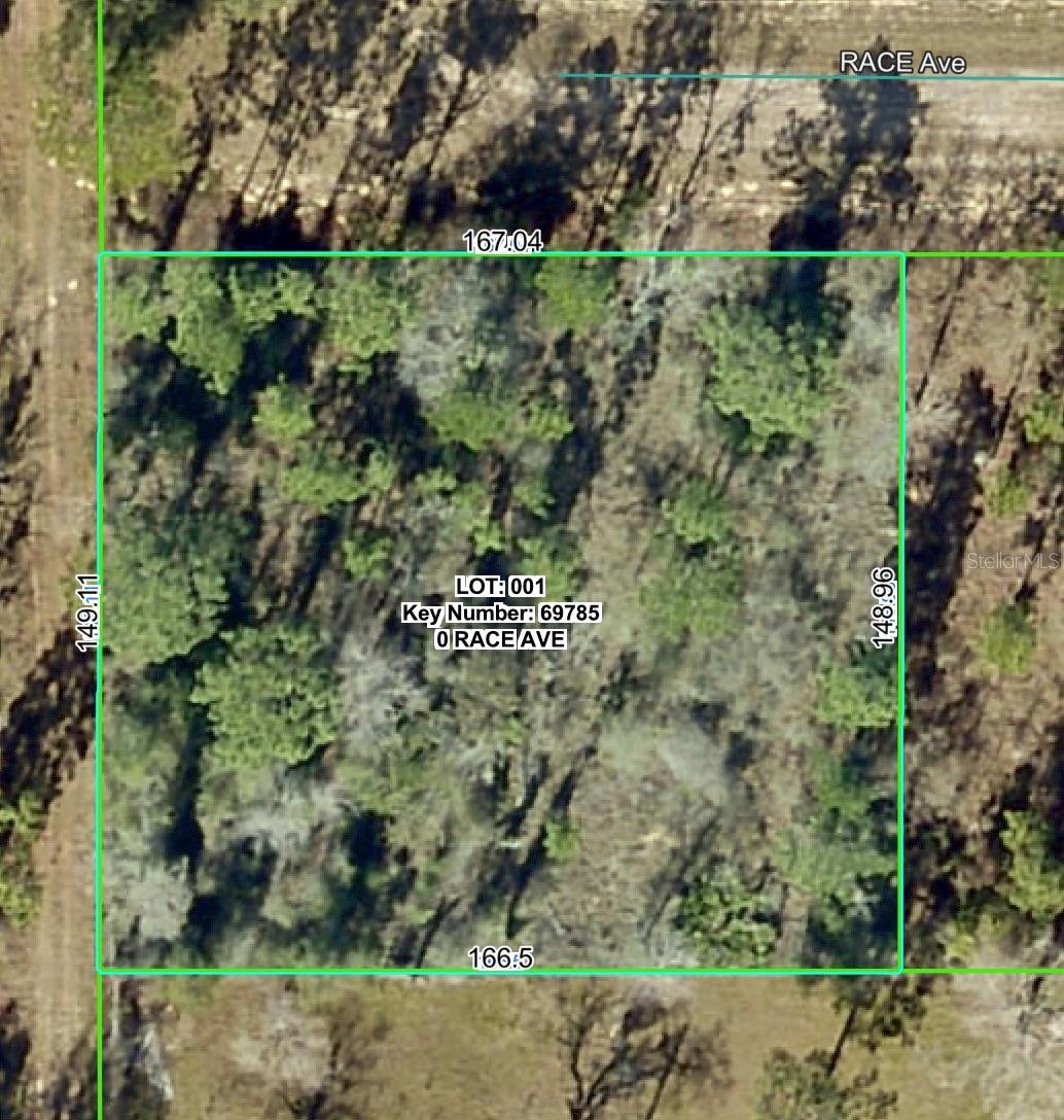 Details for 14056 Race Avenue, WEEKI WACHEE, FL 34614