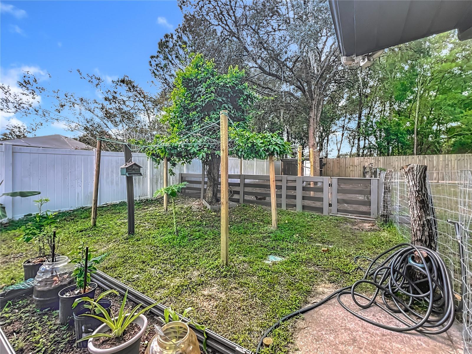 Image 39 of 56 For 21668 Peach Blossom Street