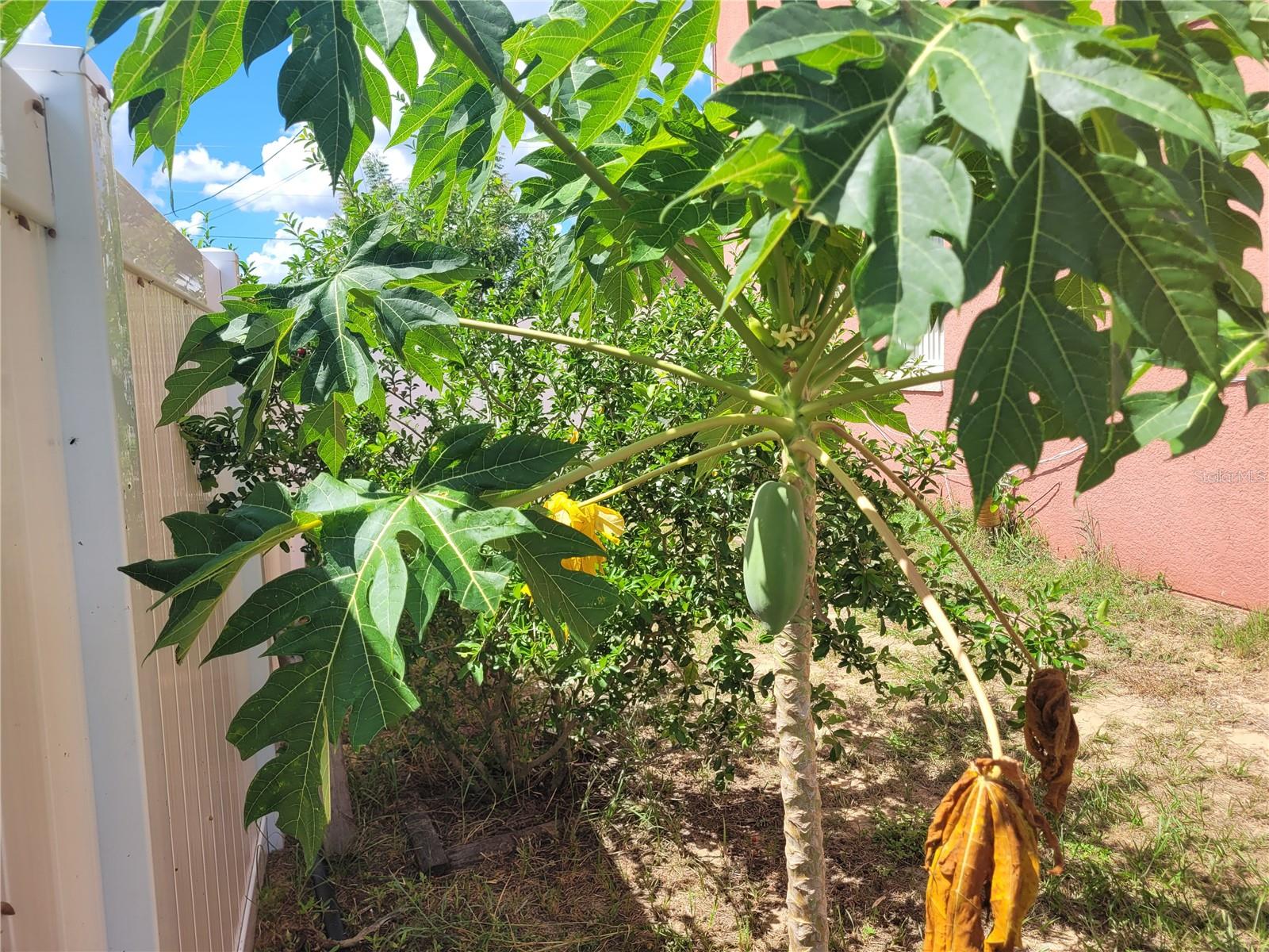 Image 49 of 69 For 2262 Pecos Court