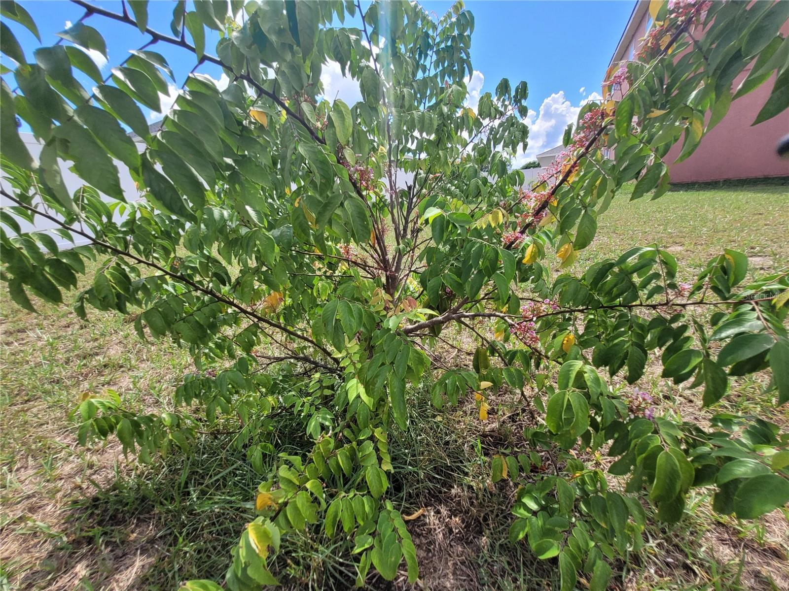 Image 53 of 69 For 2262 Pecos Court