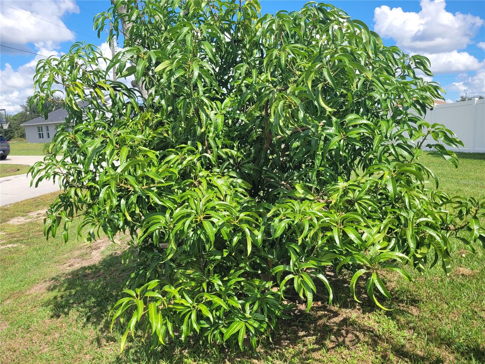 Image 54 of 69 For 2262 Pecos Court