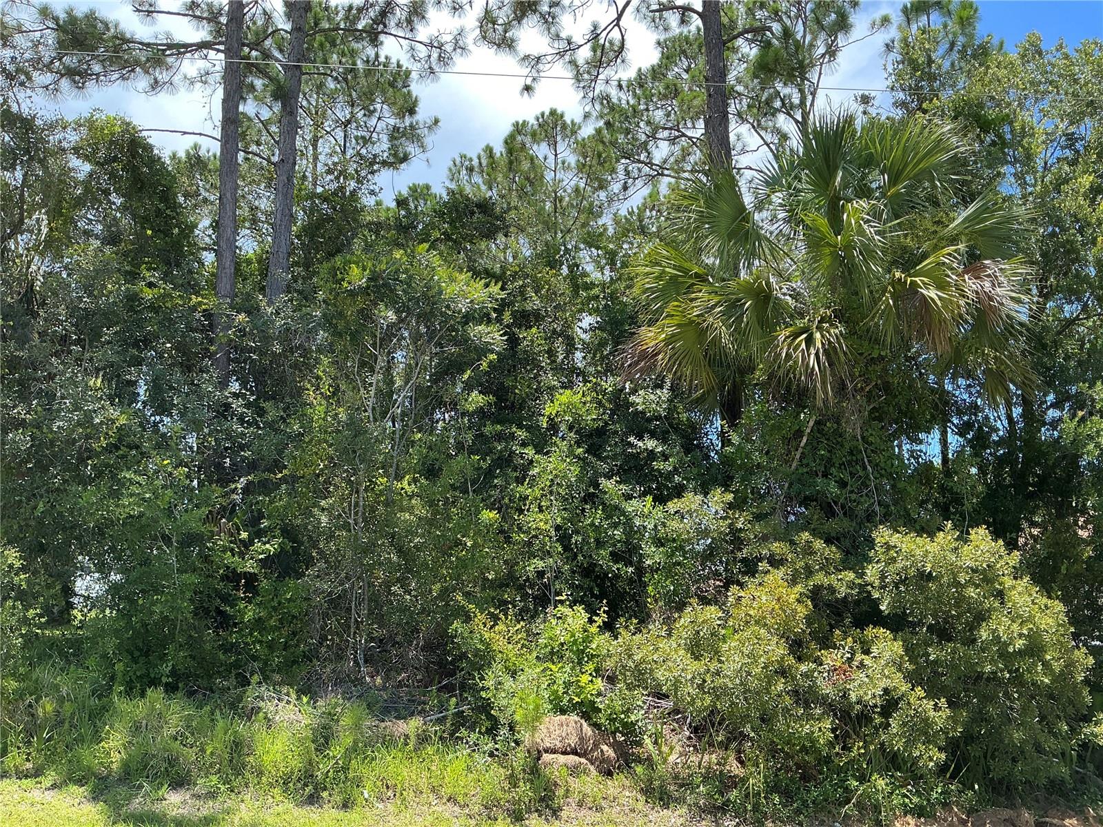 Details for 23 Brooklyn Lane, PALM COAST, FL 32137