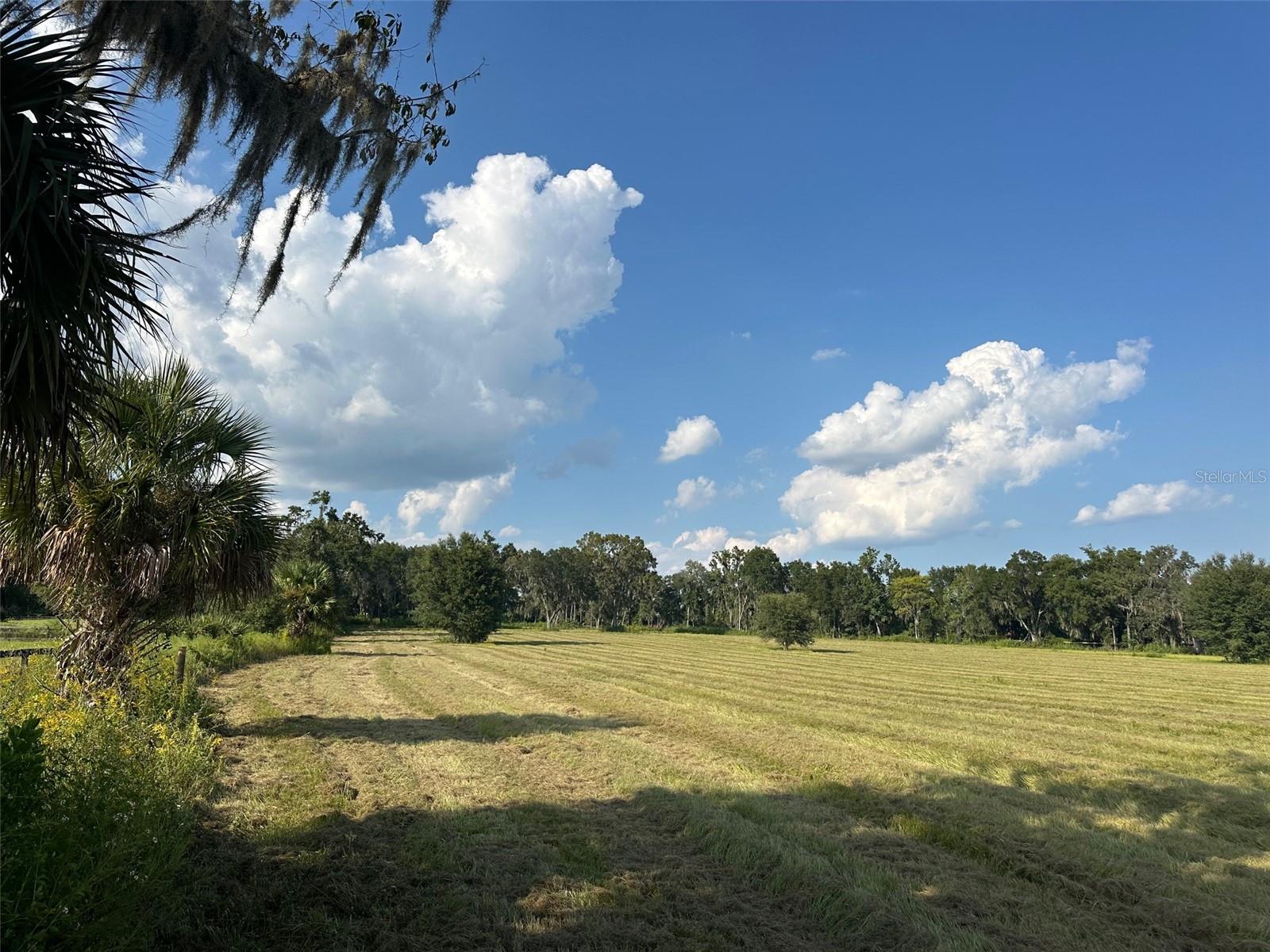 Details for Tbd 100th Avenue, OCALA, FL 34482