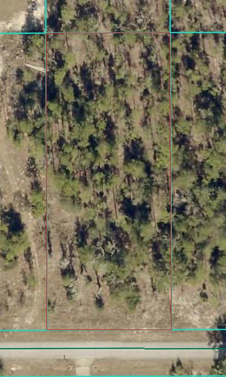 Listing Details for Tbd Lakeland Heights Avenue, DUNNELLON, FL 34432