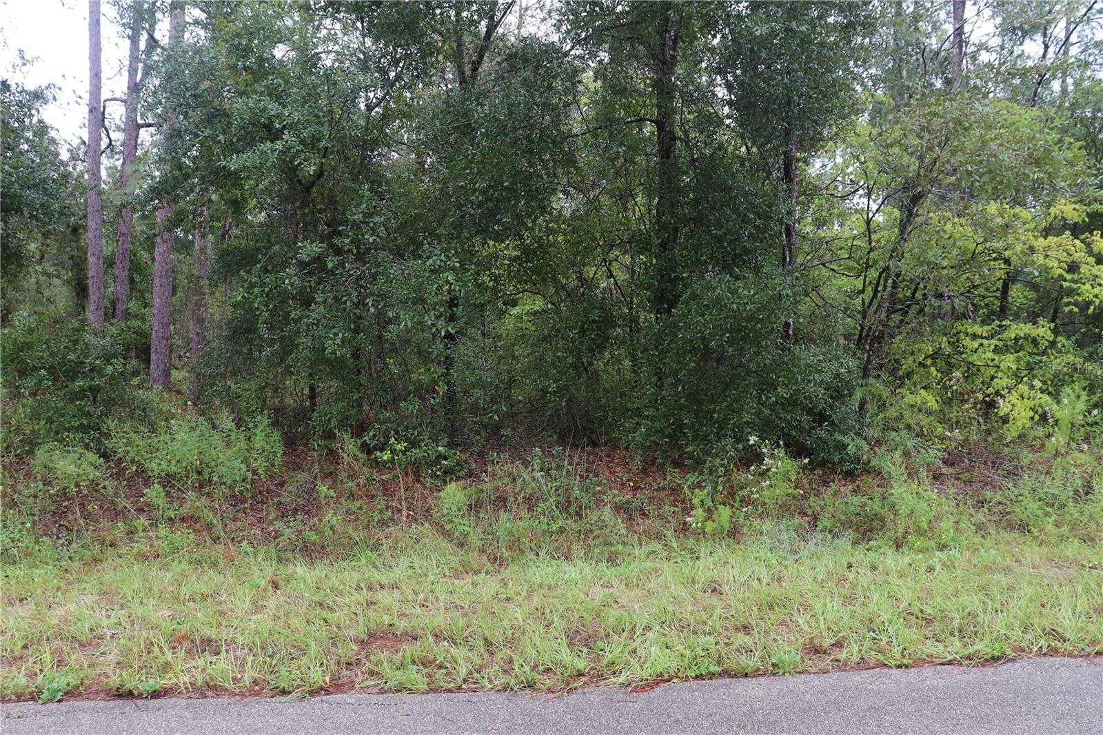 Image 2 of 7 For 00 Beuna Vista Road