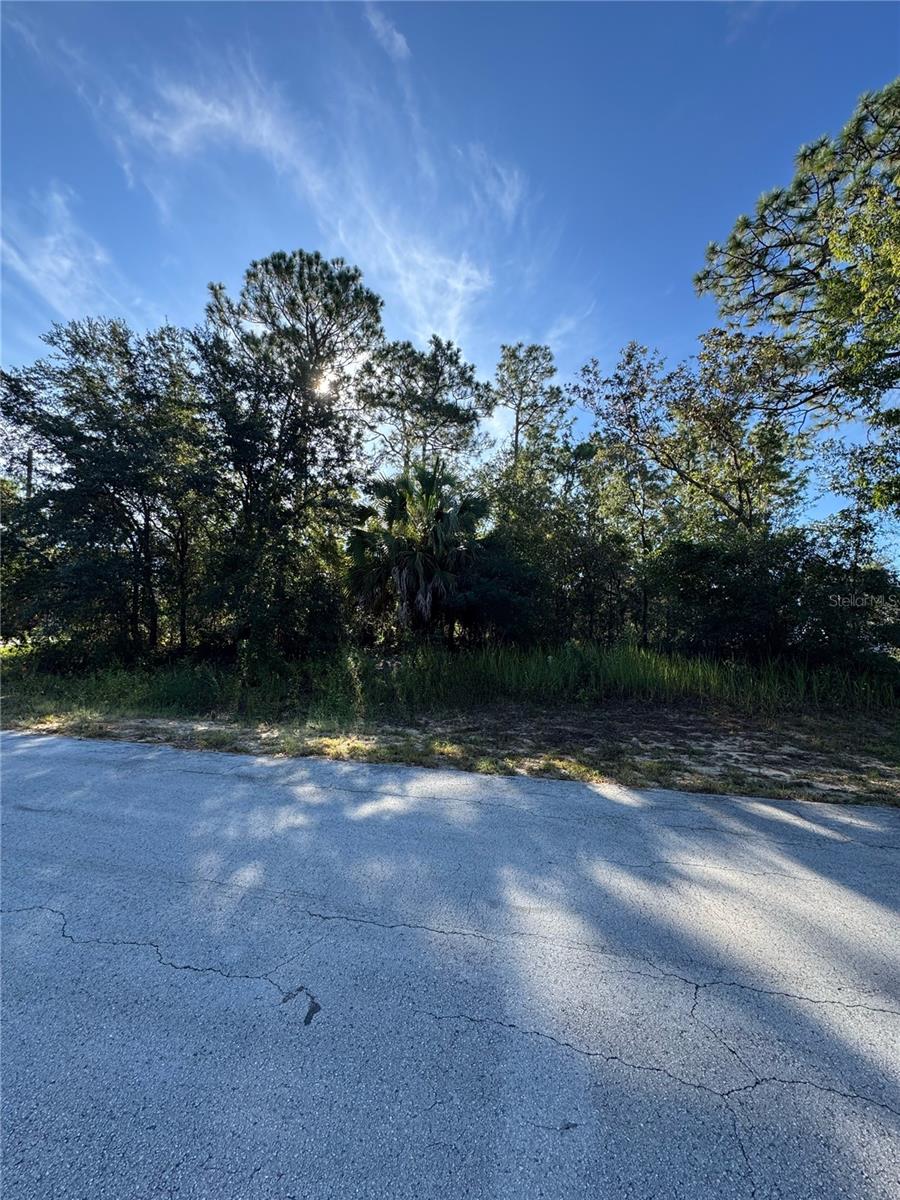 Details for Tbd Hemlock Loop Drive, OCALA, FL 34472