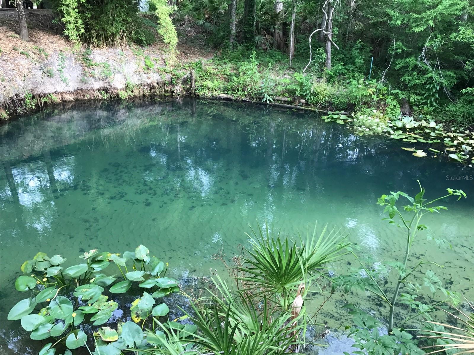 Image 29 of 43 For 3690 54th Avenue