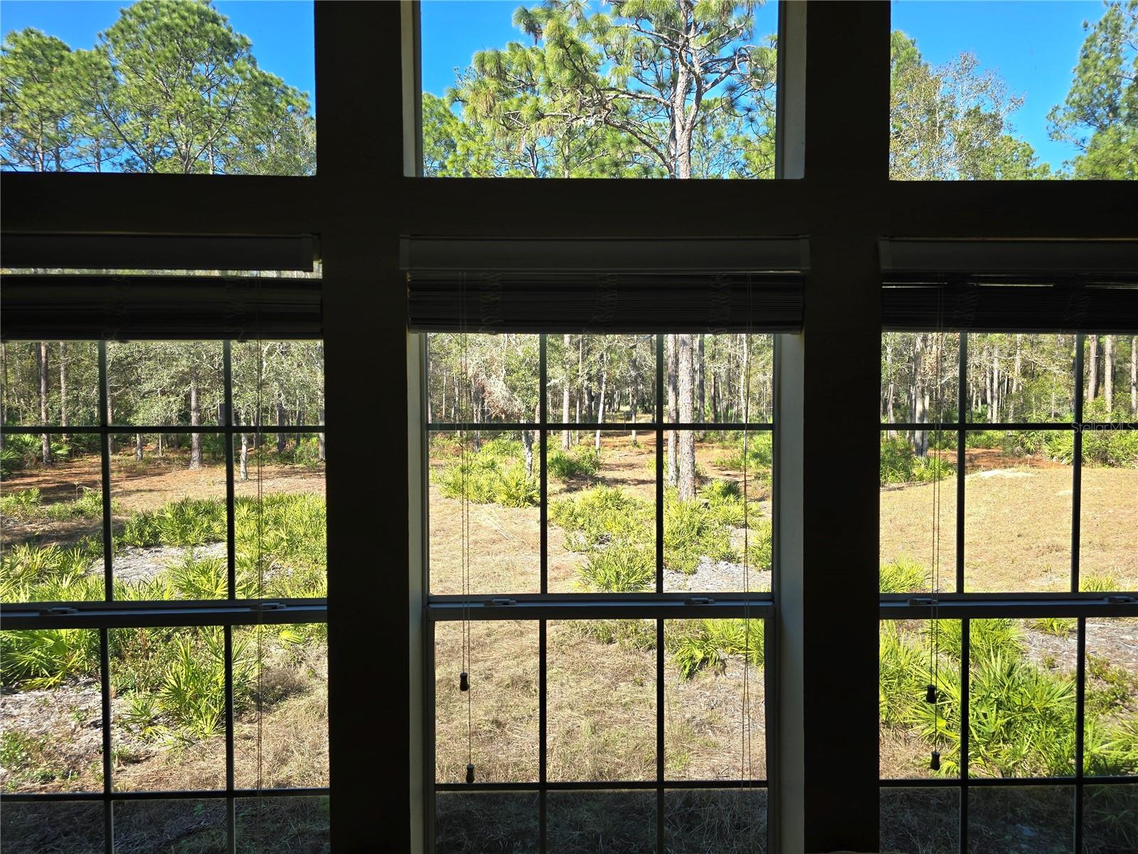 Image 36 of 43 For 3690 54th Avenue