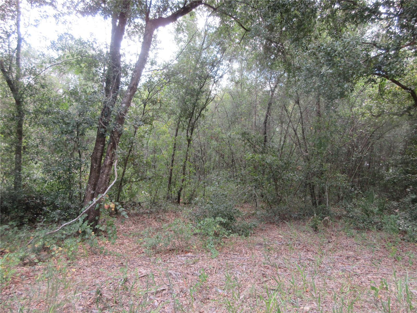 Details for  1 Ln  , SILVER SPRINGS, FL 34488