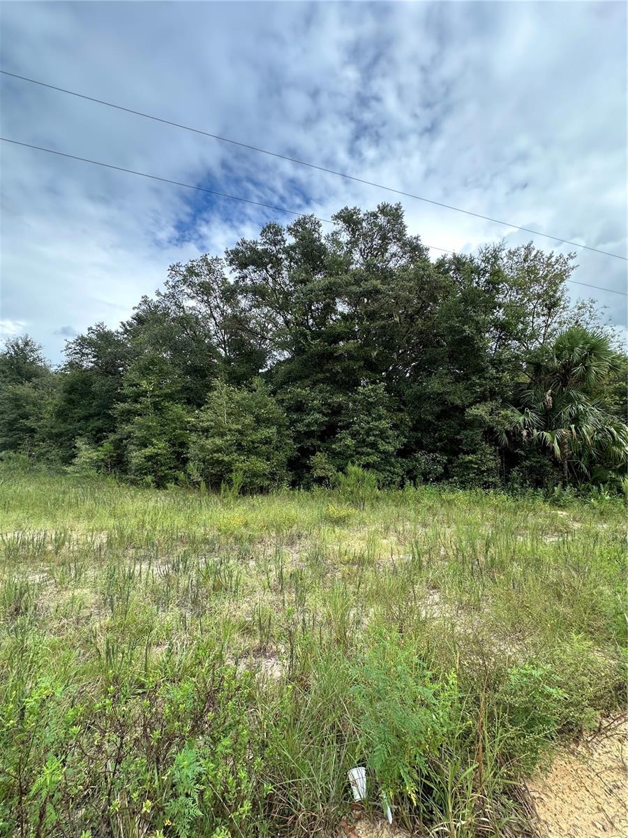 Image 11 of 11 For 00 Kin Street