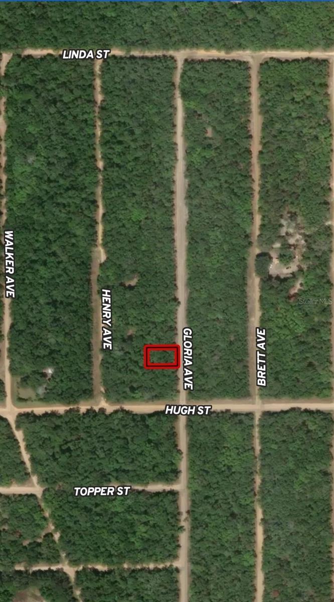 Details for Lot 20 Gloria Avenue, INTERLACHEN, FL 32148