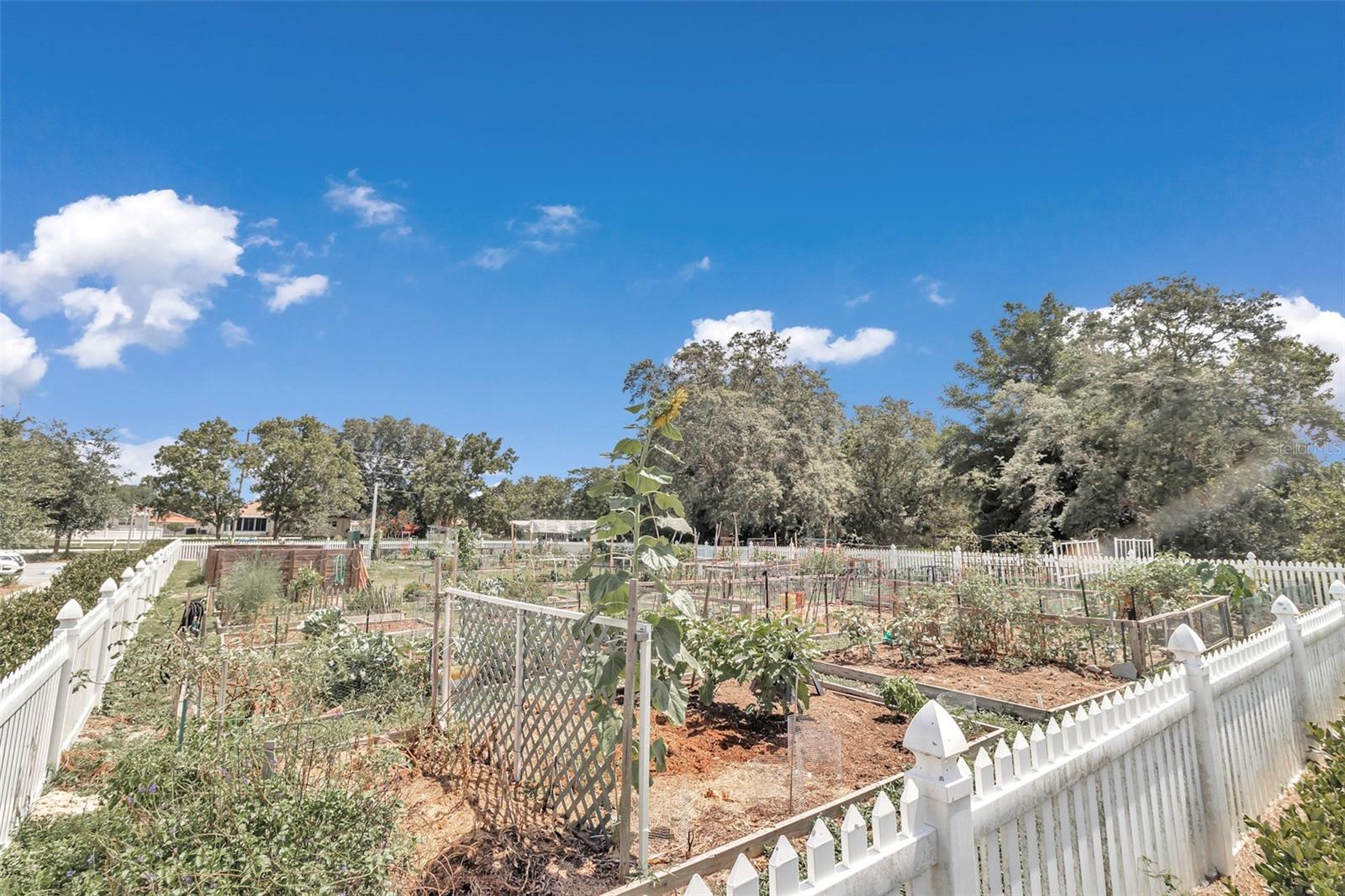 Image 55 of 63 For 8932 101st Circle