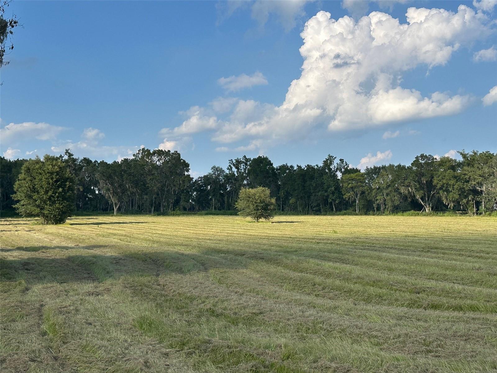 Details for Tbd 100th Avenue, OCALA, FL 34482