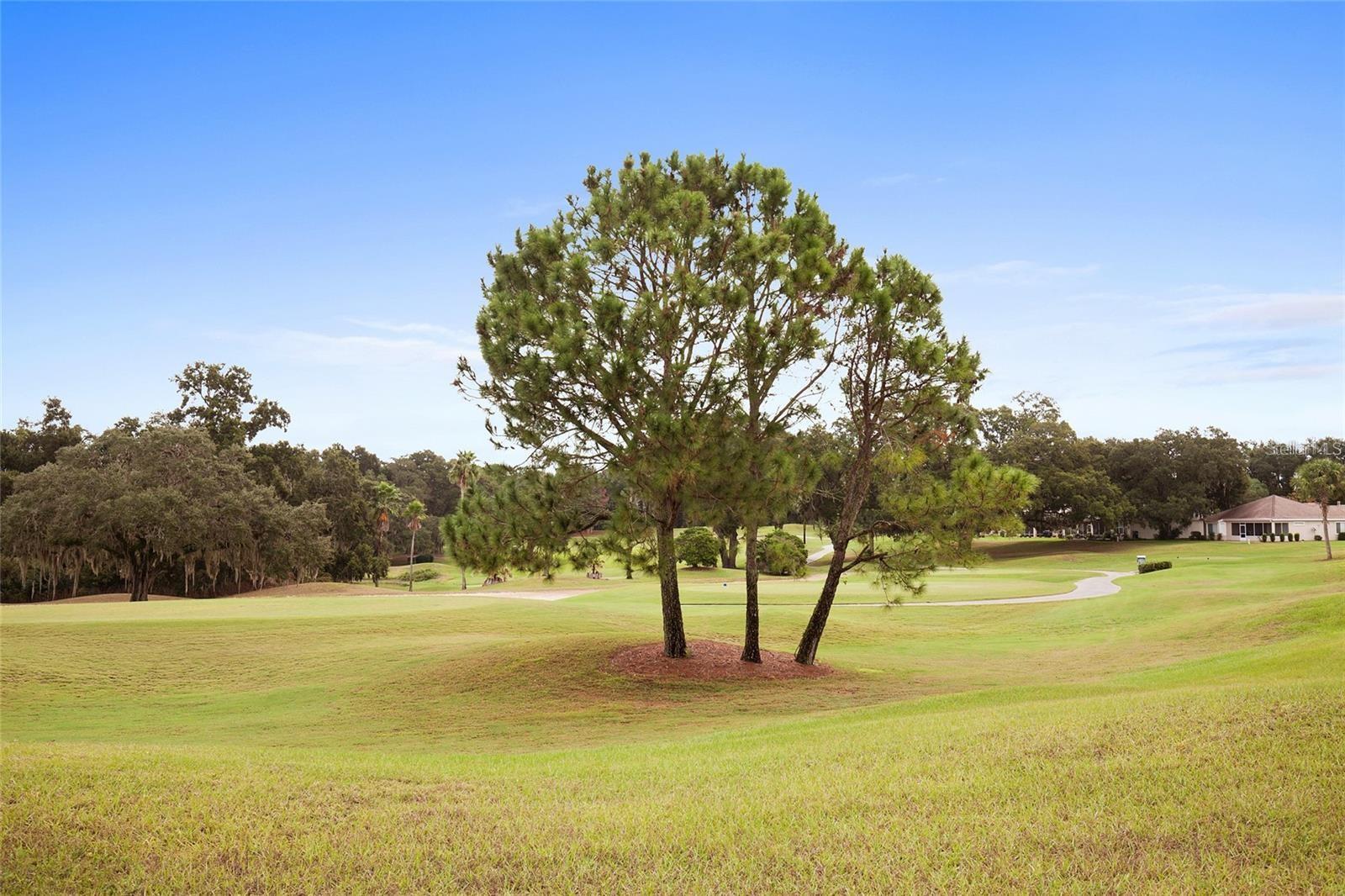 Image 80 of 80 For 8806 132nd Loop