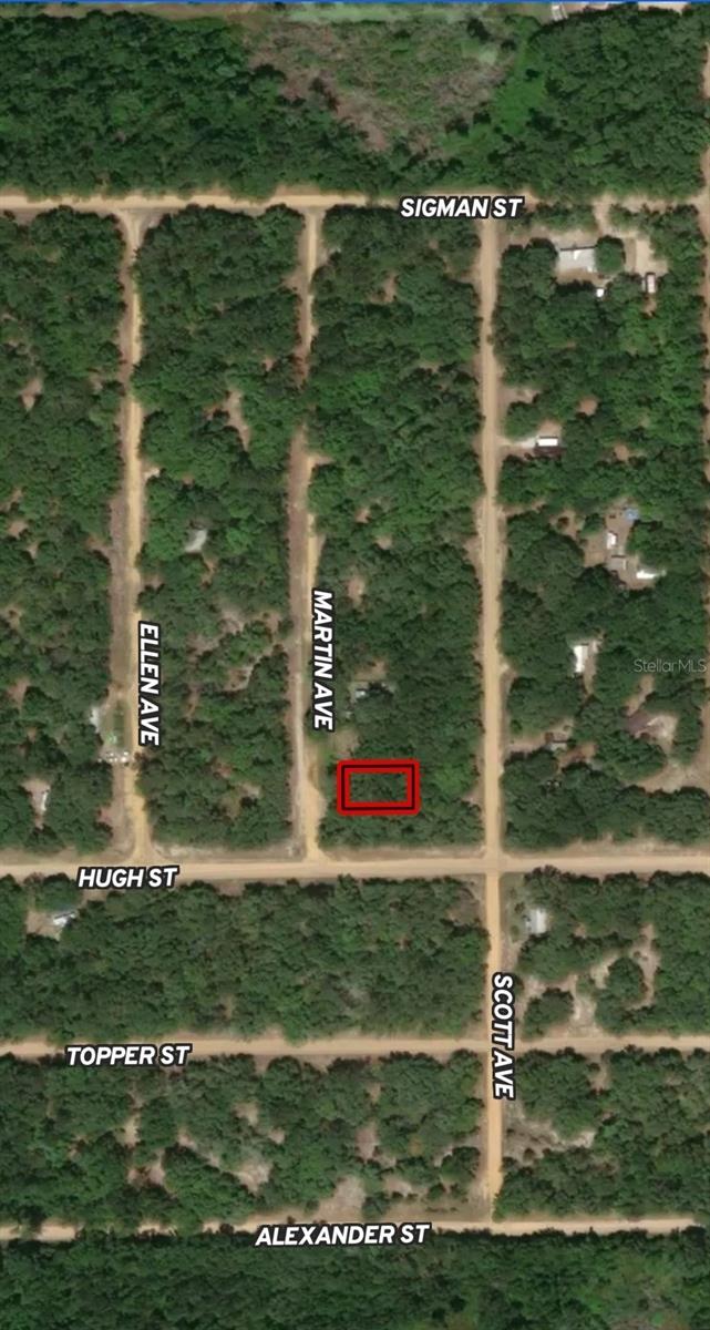 Details for Lot 13 Martin Avenue, INTERLACHEN, FL 32148