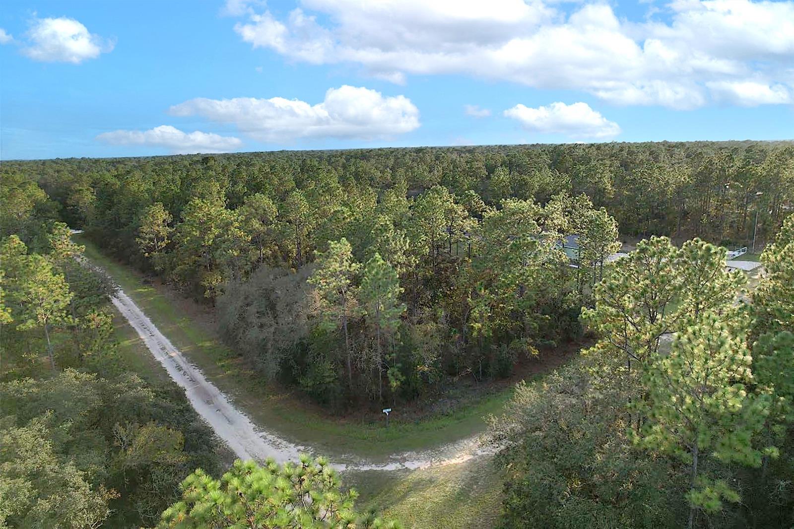 Details for 00 Tbd 88th Street, DUNNELLON, FL 34432