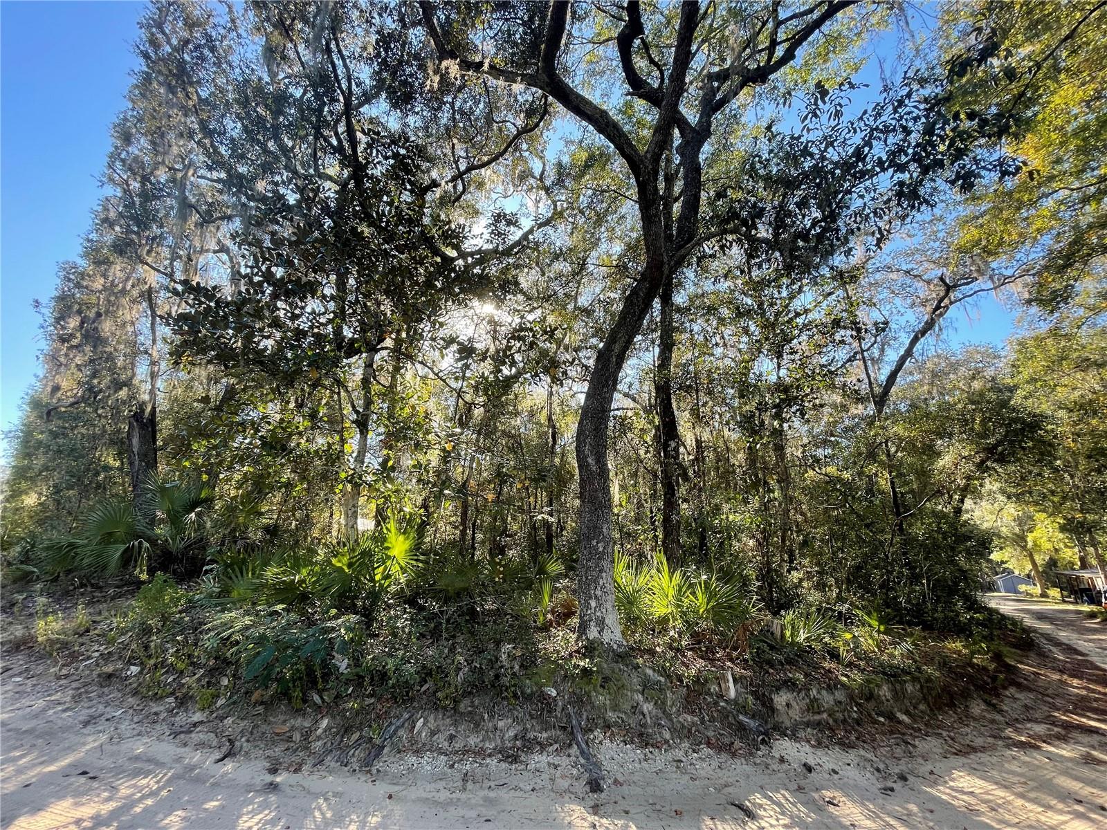 Image 2 of 3 For Tbd 199th Place