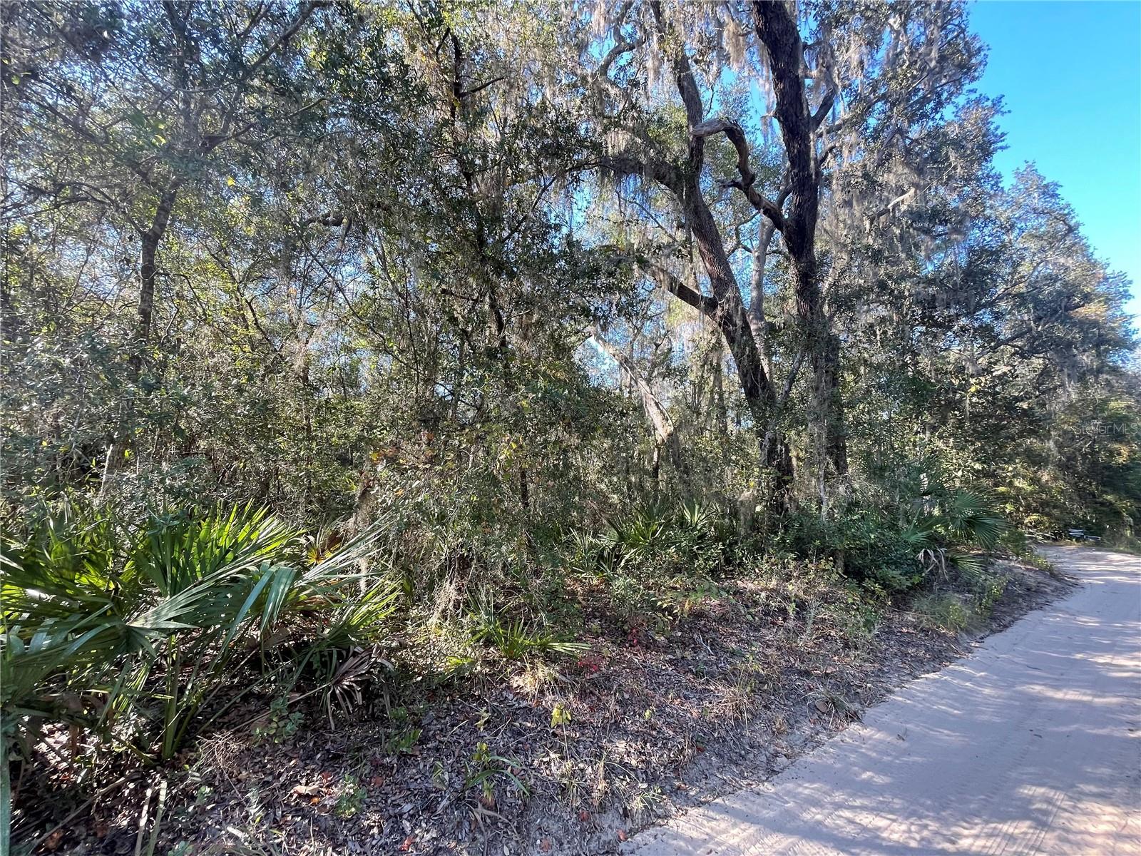 Image 3 of 3 For Tbd 199th Place