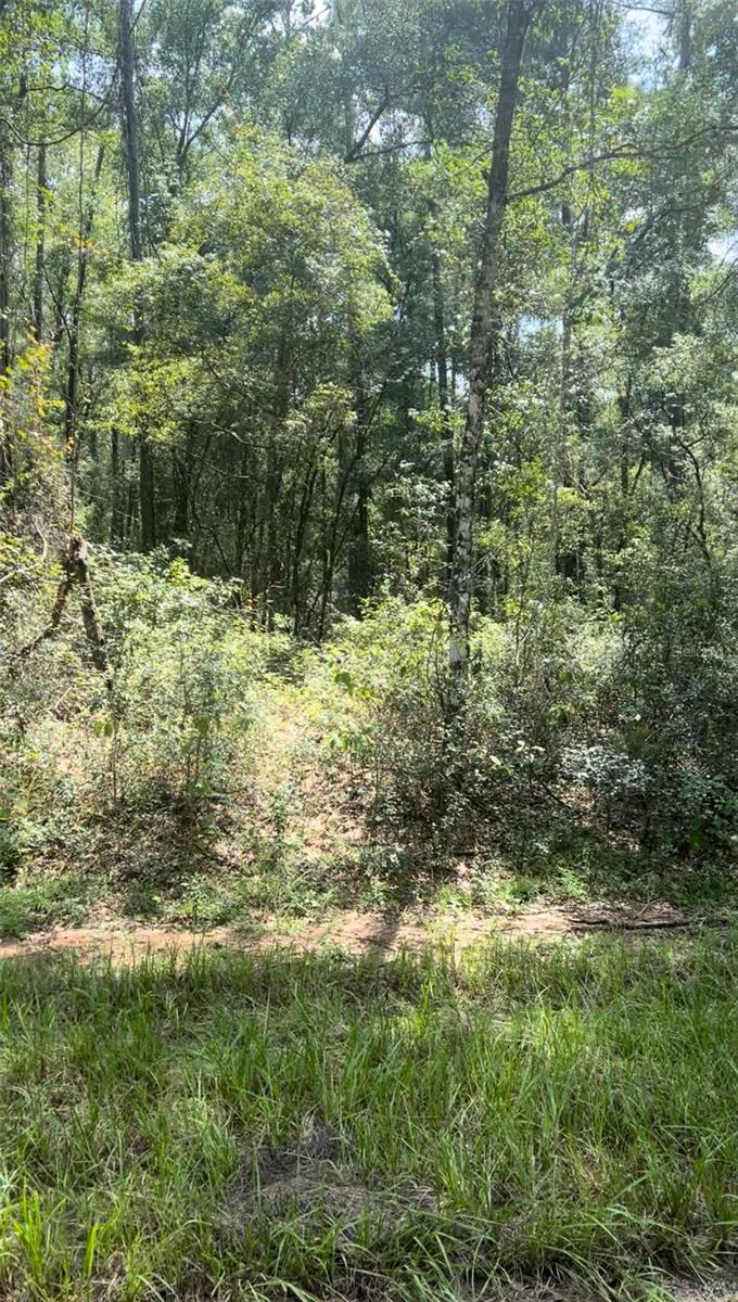 Image 3 of 10 For 1412 Carson Road