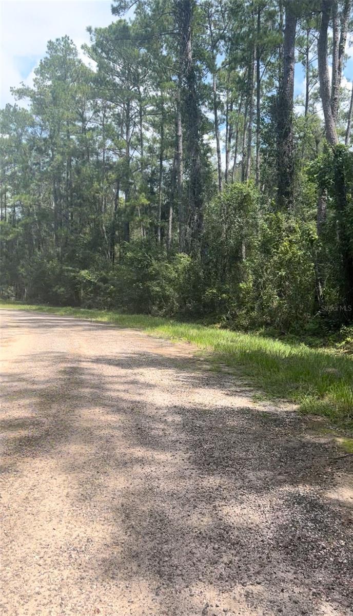 Image 4 of 10 For 1412 Carson Road