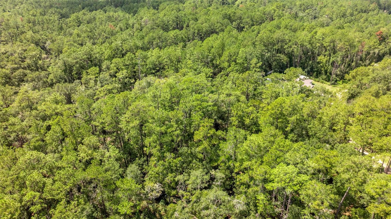 Image 5 of 10 For 1412 Carson Road