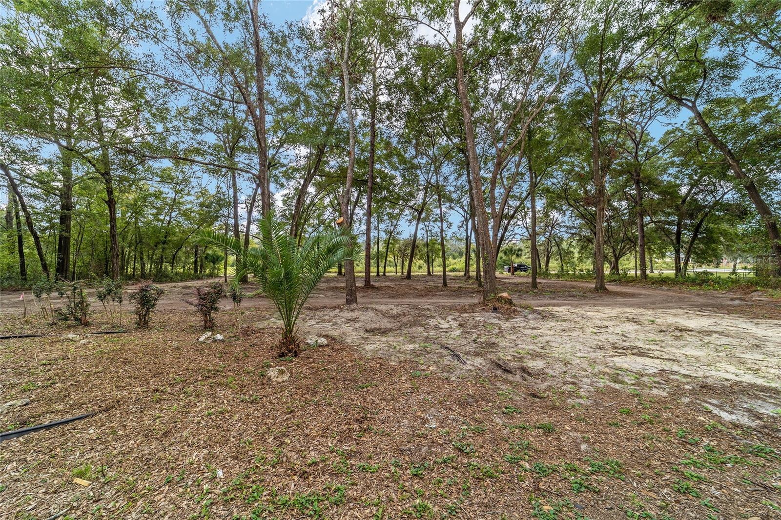 Image 60 of 60 For 18075 60th Street