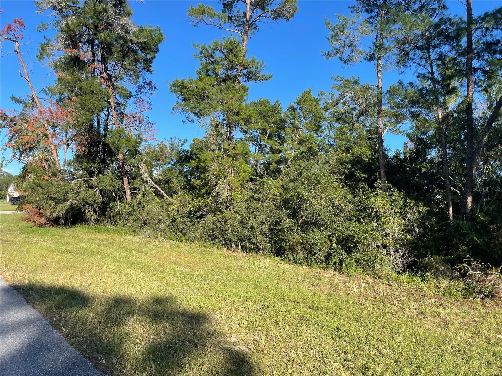 Listing Details for Marion Oaks Lane, OCALA, FL 34476
