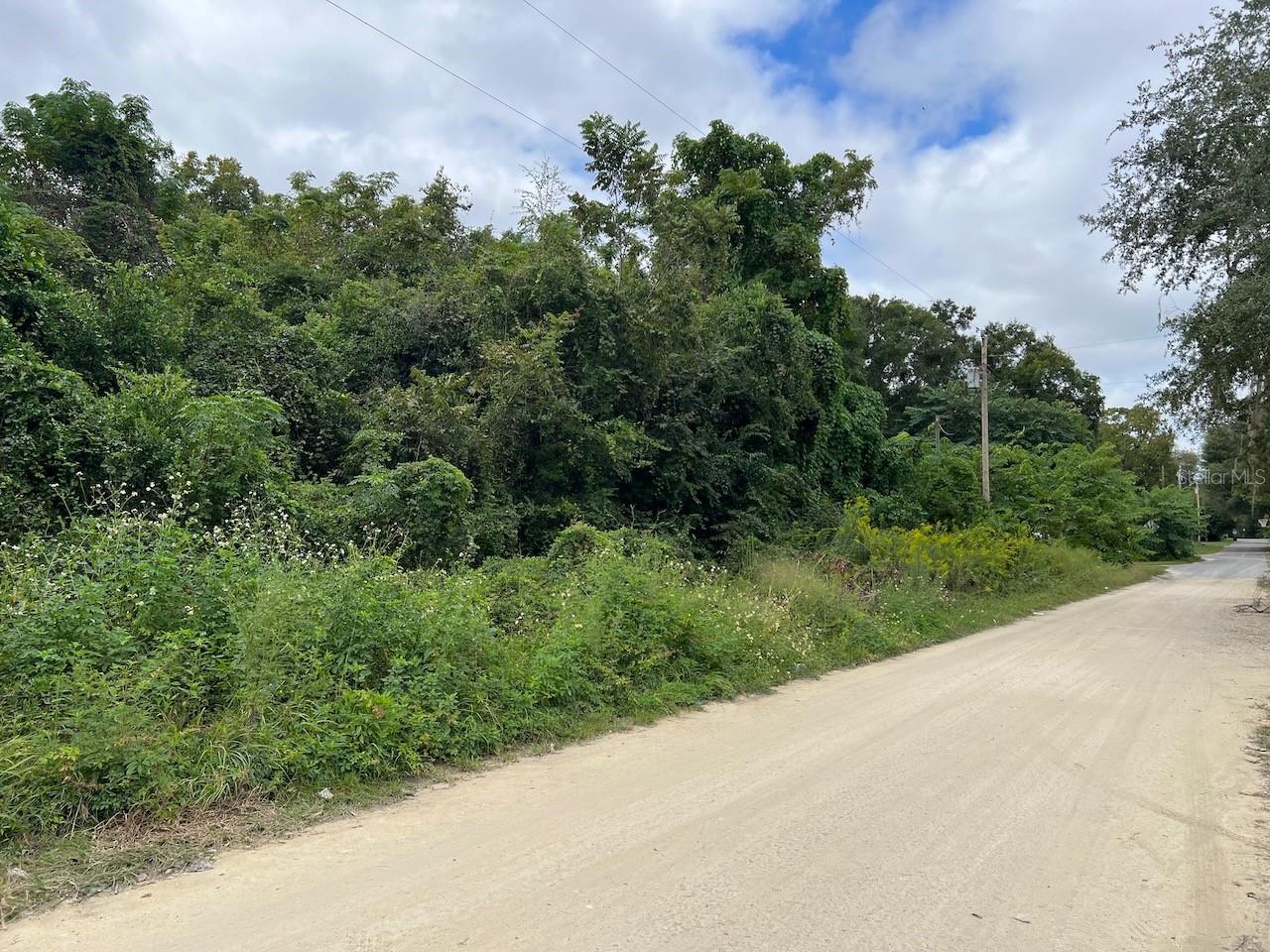 Details for 000 40th Place, WILLISTON, FL 32696